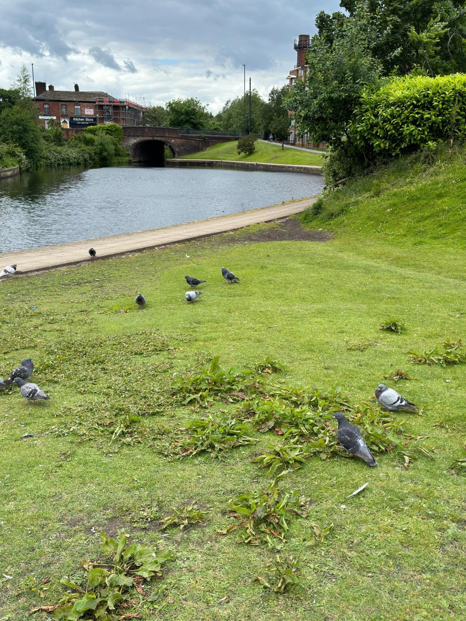 Ur Place Failsworth Exteriör bild